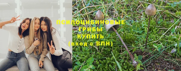 прущие грибы Армянск