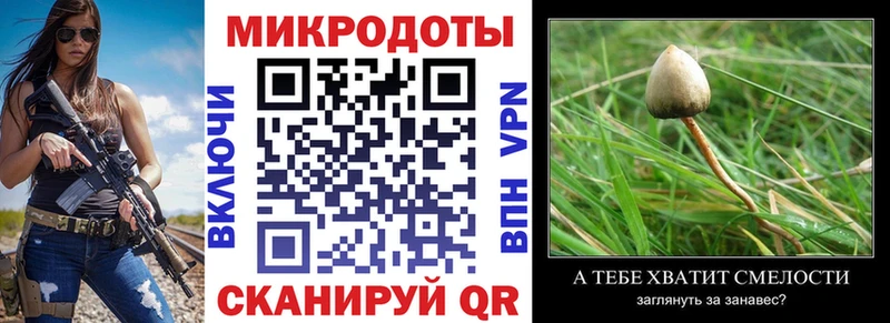 Псилоцибиновые грибы GOLDEN TEACHER  Реутов 
